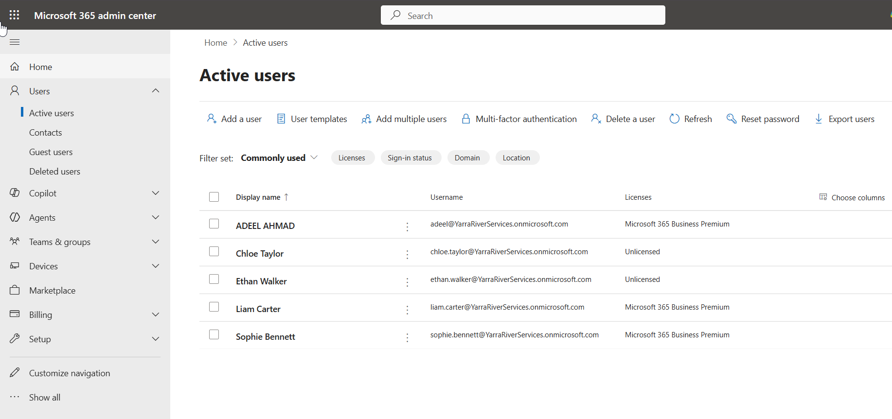 Microsoft 365 Admin Center showing fictional cloud users and assigned licences